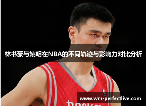 林书豪与姚明在NBA的不同轨迹与影响力对比分析